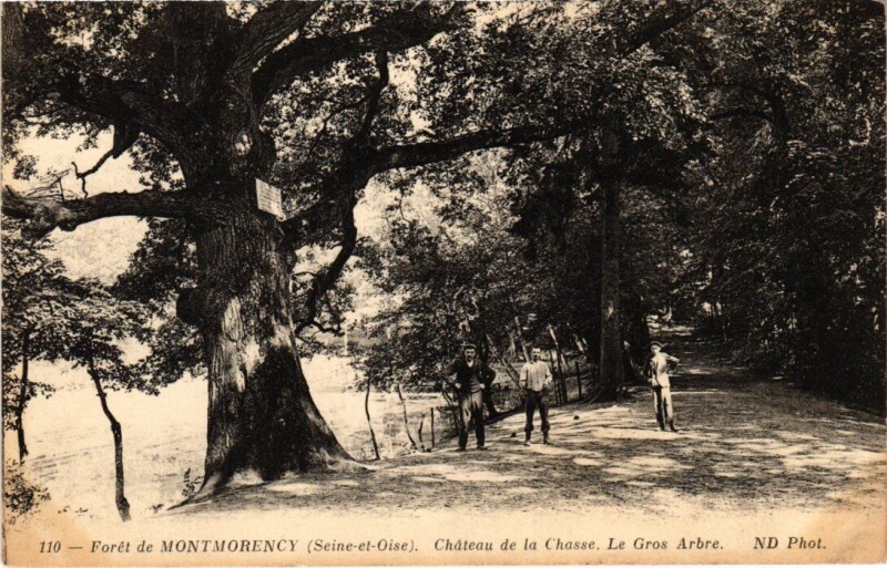 Carte postale ancienne Montmorency Chateau de la Chasse France à Montmorency
