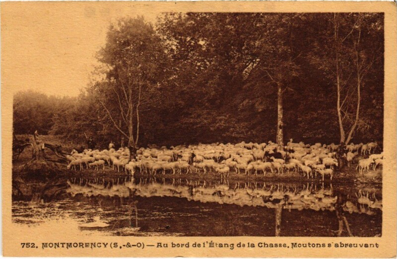 Carte postale ancienne Montmorency Au bord de l'Etang de la Chasse France à Montmorency