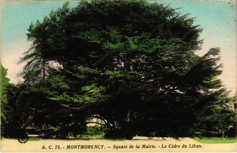 Carte postale ancienne Montmorency Square de la Mairie France à Montmorency