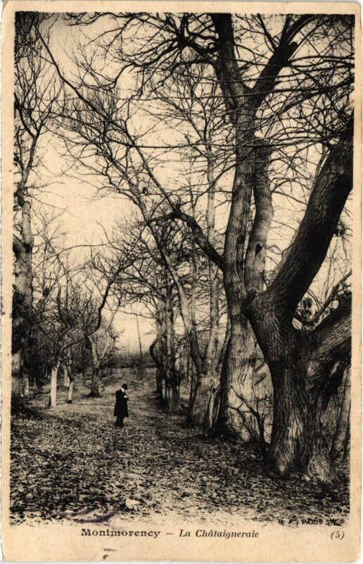 Carte postale ancienne Montmorency La Chataigneraie France à Montmorency