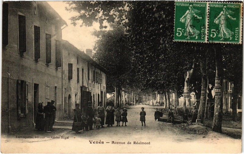 Carte postale ancienne Venés Avenue de Réalmont à Réalmont