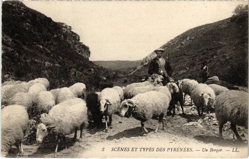Carte postale ancienne Scenes et Types Les Pyrénées Un Berger