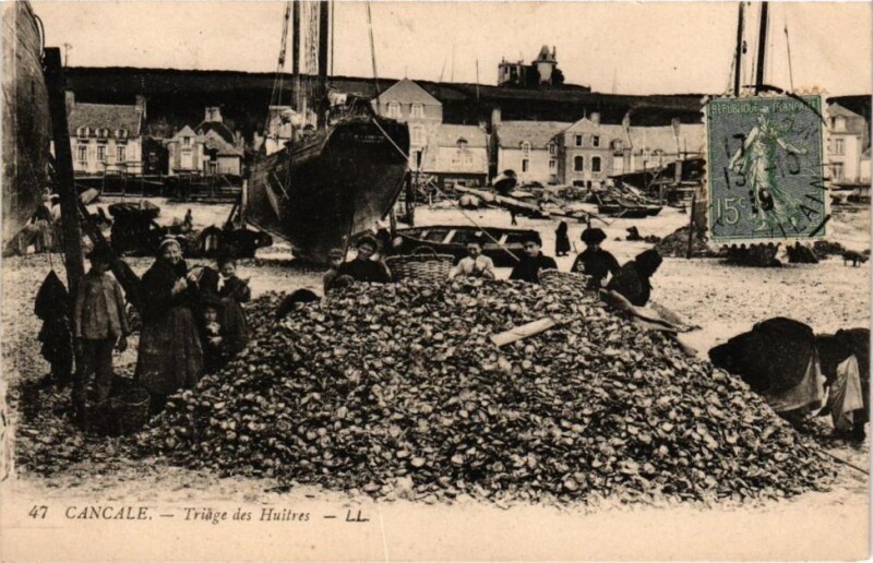 Carte postale ancienne Cancale - Triage des Huitres à Cancale