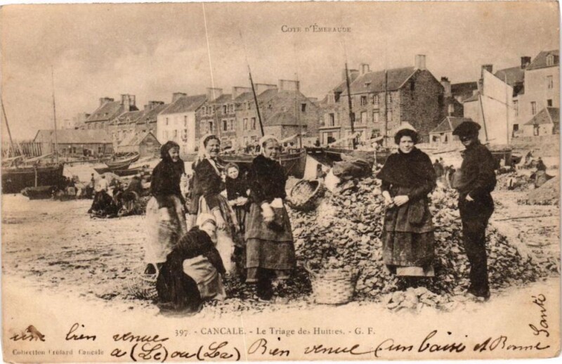 Carte postale ancienne Cancale - Le Triage des Huitres à Cancale