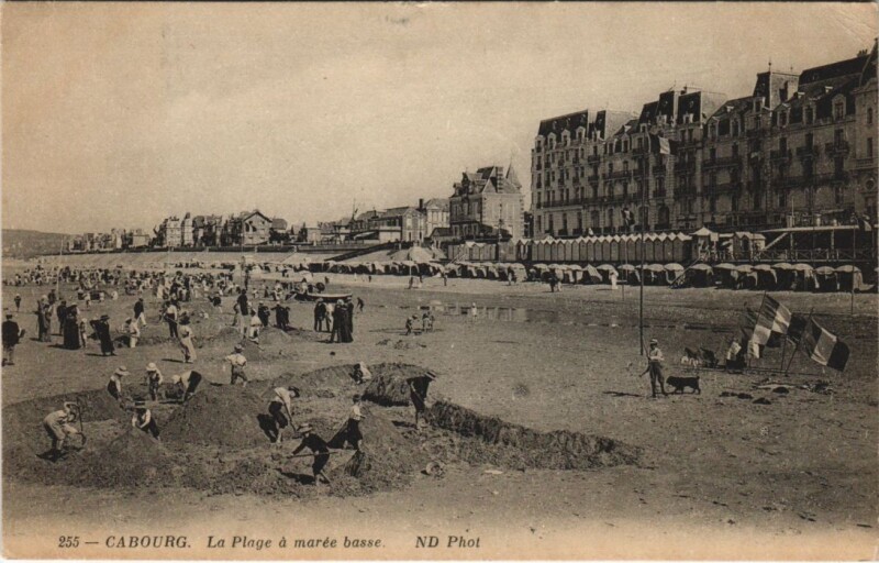 Carte postale ancienne Cabourg - La Plage a Maree Basse à Cabourg