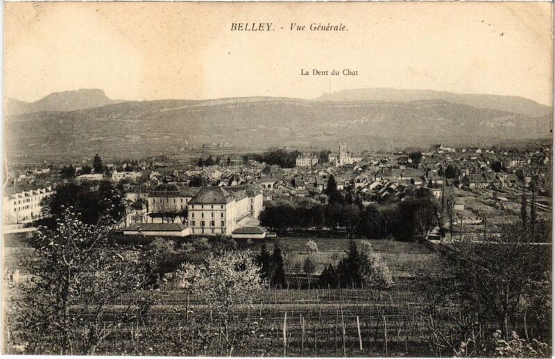 Carte postale ancienne Belley vue generale à Belley