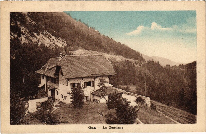 Carte postale ancienne Gex La Gentiane