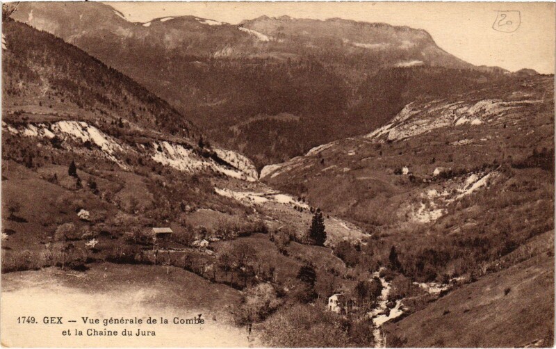 Carte postale ancienne Gex vue generale