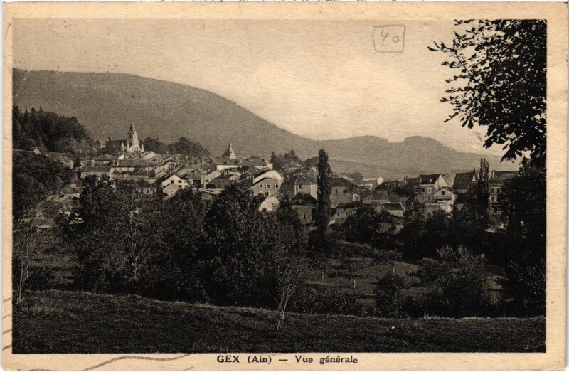 Carte postale ancienne Gex vue generale