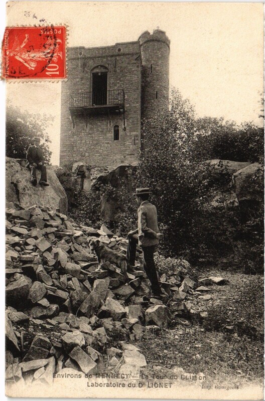 Carte postale ancienne Env. de Mennecy Tour du Buisson Laboratoire du Dr. Lionet à Mennecy