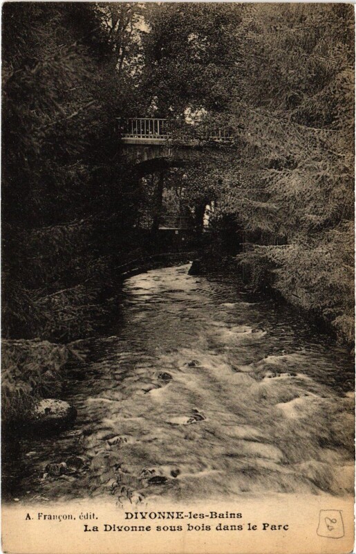 Carte postale ancienne Divonne La Divoone sous bois dans le Parc