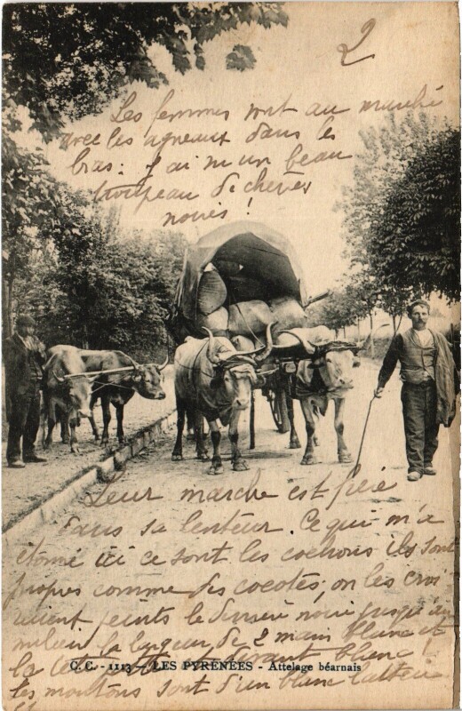 Carte postale ancienne Les Pyrénées Attelage béarnais