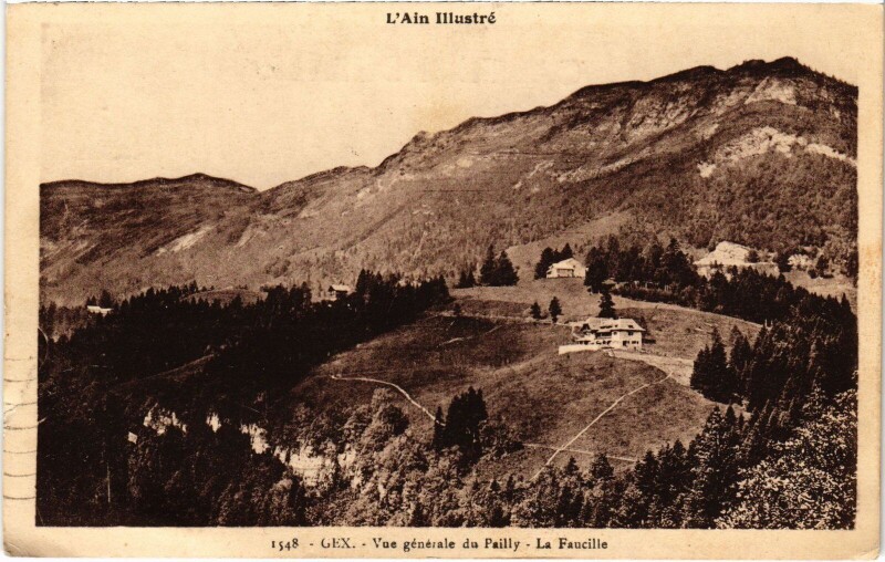 Carte postale ancienne Gex vue generale