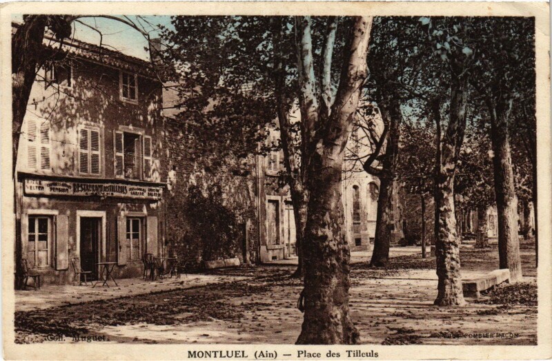 Carte postale ancienne Montluel Place des Tilleuls à Montluel