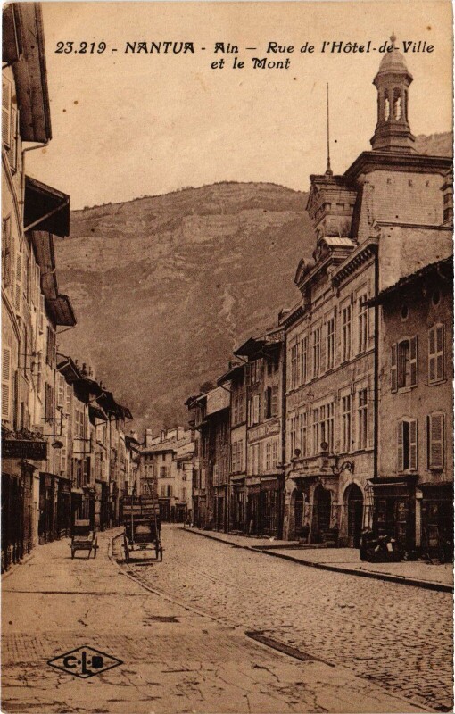 Carte postale ancienne Nantua Rue de l'Hotel de Ville et le Mont à Nantua