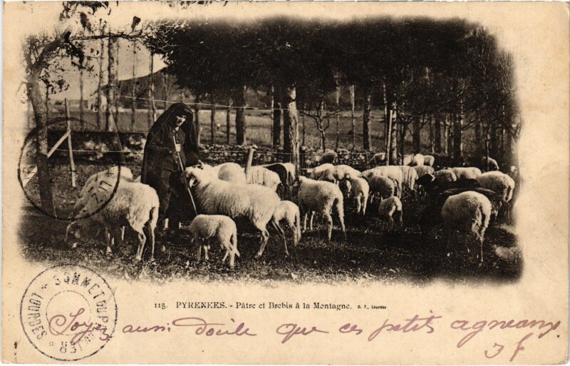 Carte postale ancienne Les Pyrénées Patre et Brebis a la Montagne