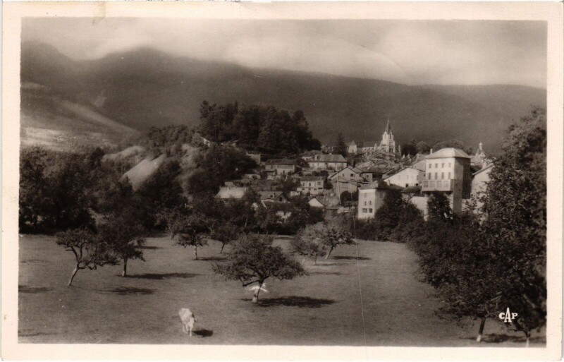 Carte postale ancienne Gex vue generale