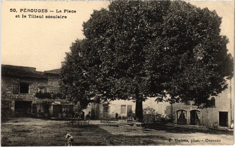 Carte postale ancienne Perouges La Place et le Tilleul seculaire