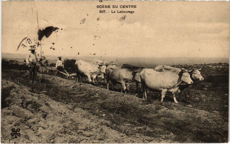 Carte postale ancienne Scene du CEntre Le Labourage