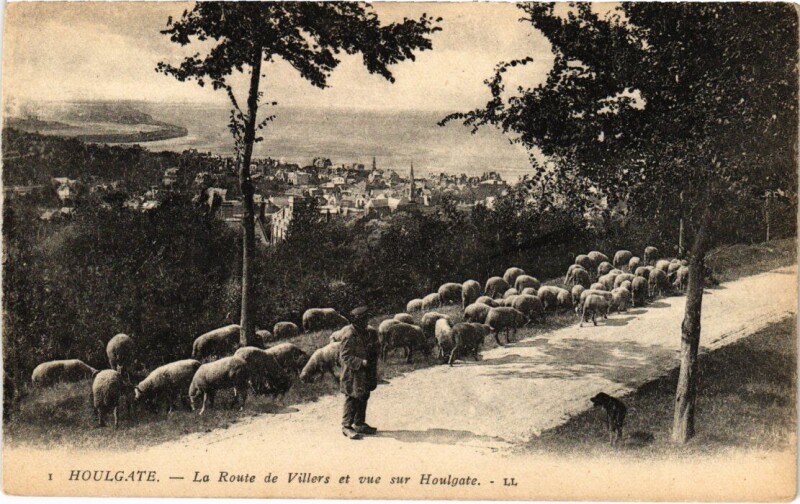 Carte postale ancienne Houlgate La Route de Villers France à Houlgate