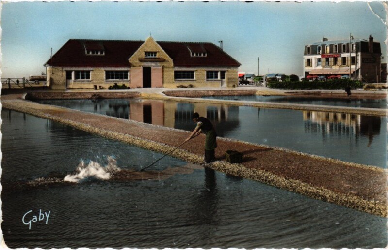 Carte postale ancienne Courseulles Parc a Huitres France