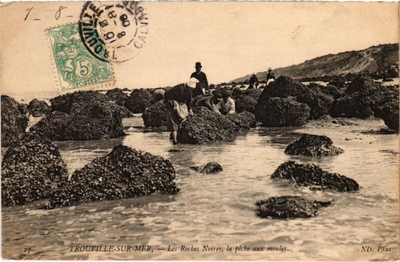 Carte postale ancienne Trouville Les Roches Noires, la peche aux moules France