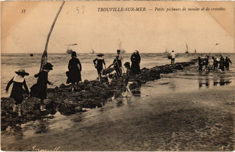 Carte postale ancienne Trouville Petits pecheurs de moules France