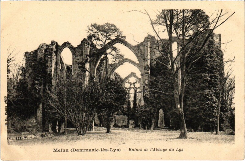 Carte postale ancienne Dammarie-les-Lys Melun - Ruines de l'Abbaye du Lys à Dammarie-les-Lys
