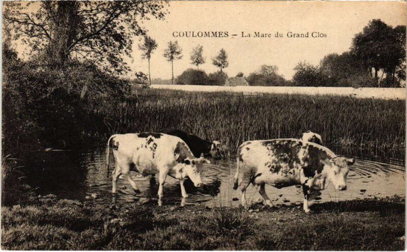 Carte postale ancienne Coulommes La Mare du Grand Clos à Coulommes