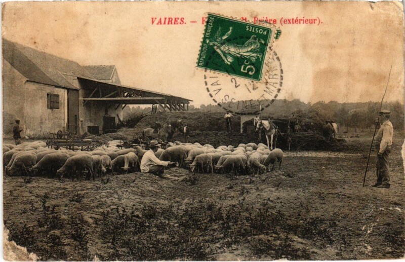 Carte postale ancienne Vaires-sur-Marne Farm à Vaires-sur-Marne