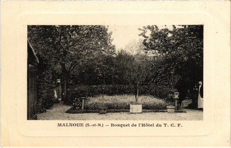 Carte postale ancienne Malnoue Bosquet de l'Hotel du T. C. F.