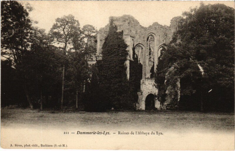 Carte postale ancienne Dammarie-les-Lys Ruines de l'Abbaye du Lys à Dammarie-les-Lys