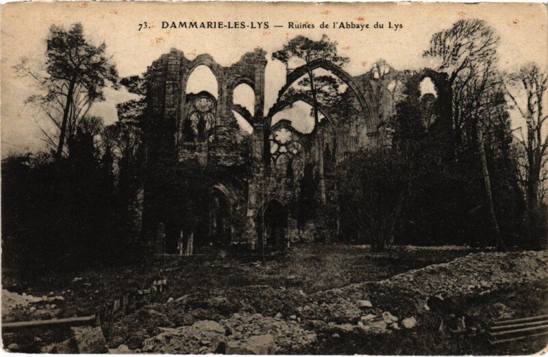 Carte postale ancienne Dammarie-les-Lys Ruines de l'Abbaye du Lys à Dammarie-les-Lys
