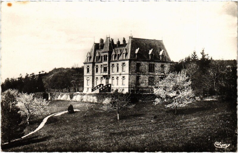 Carte postale ancienne Vernoux Chateau des Faugs France à Vernoux