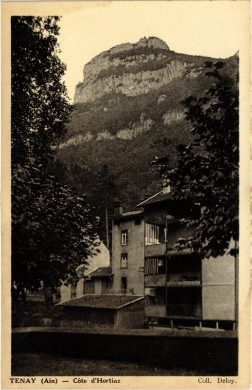 Carte postale ancienne Tenay Cote d'Hortiaz France à Tenay
