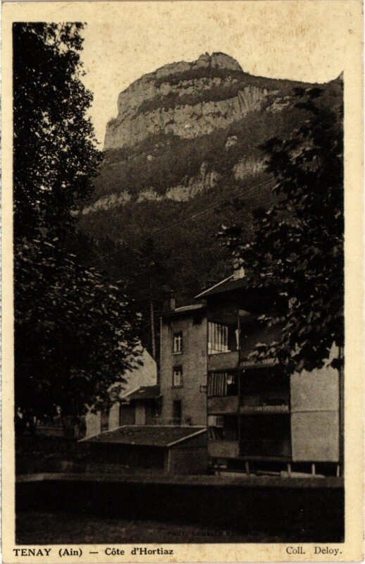 Carte postale ancienne Tenay Cote d'Hortiaz France à Tenay