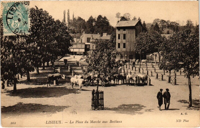 Carte postale ancienne Lisieux La Place du Marche aux Bestiaux France à Lisieux