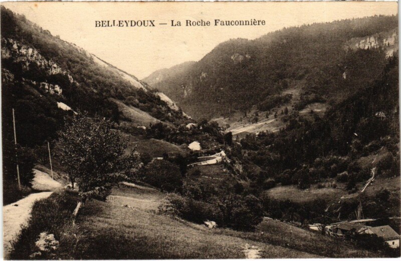 Carte postale ancienne Belleydoux La Roche Fauconniere France à Belley
