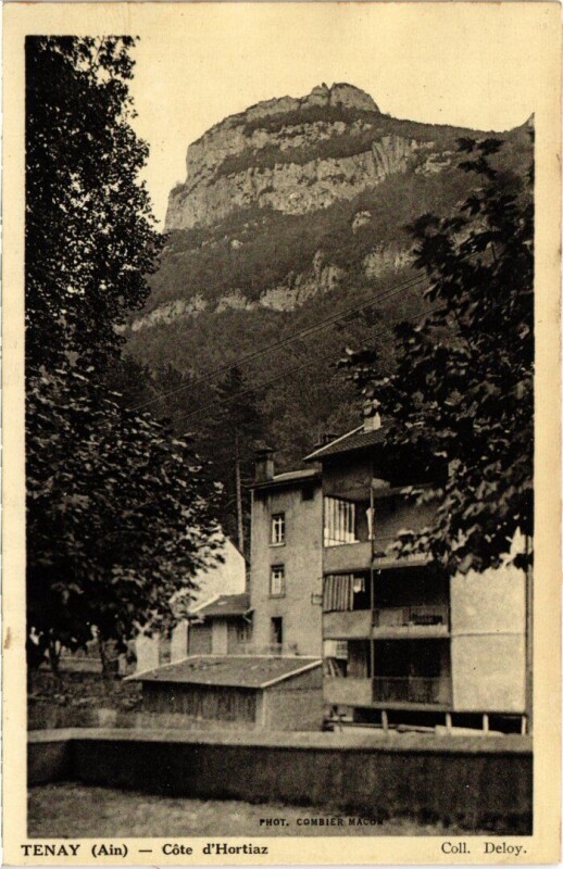 Carte postale ancienne Tenay Cote d'Hortiaz France à Tenay
