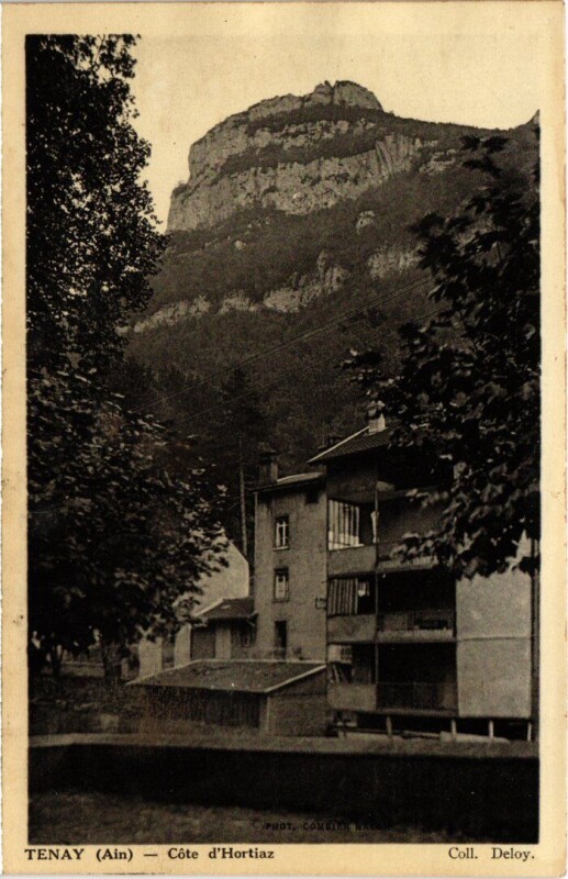 Carte postale ancienne Tenay Cote d'Hortiaz France à Tenay