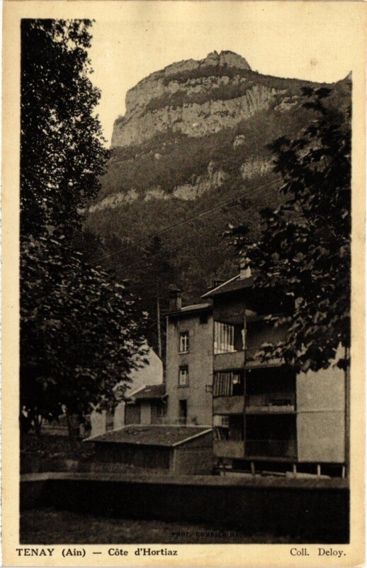 Carte postale ancienne Tenay Cote d'Hortiaz France à Tenay
