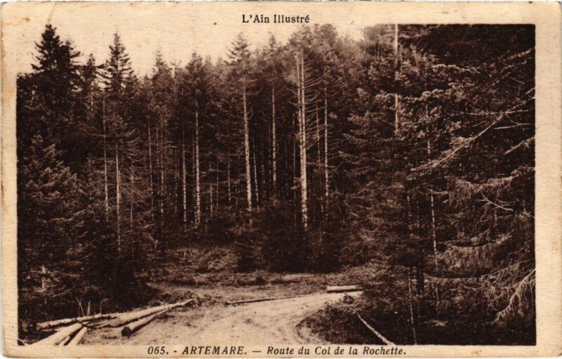 Carte postale ancienne Artemare Route du Col de la Rochette France à Artemare