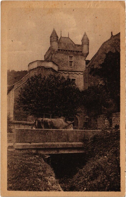 Carte postale ancienne Benonces Le Chateau France