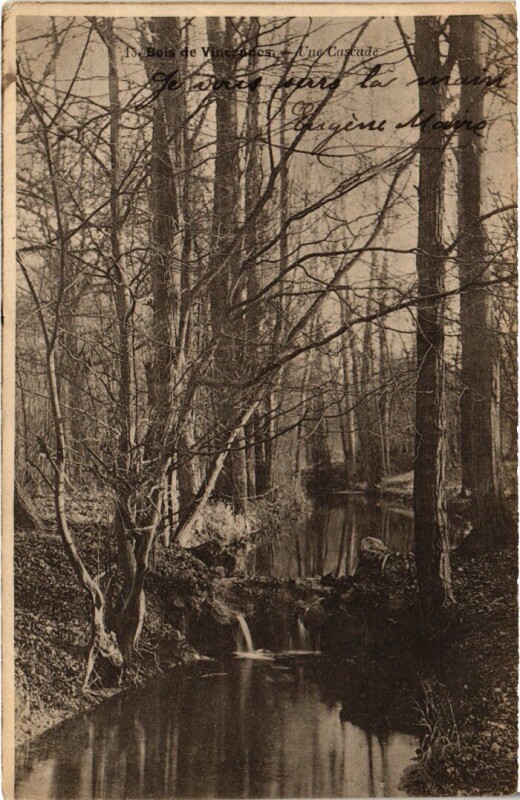 Carte postale ancienne Bois de Vincennes une cascade à Vincennes