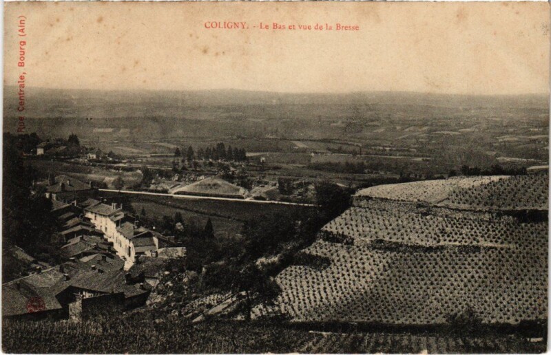 Carte postale ancienne Coligny Le Bas et vue de la Bresse France à Coligny