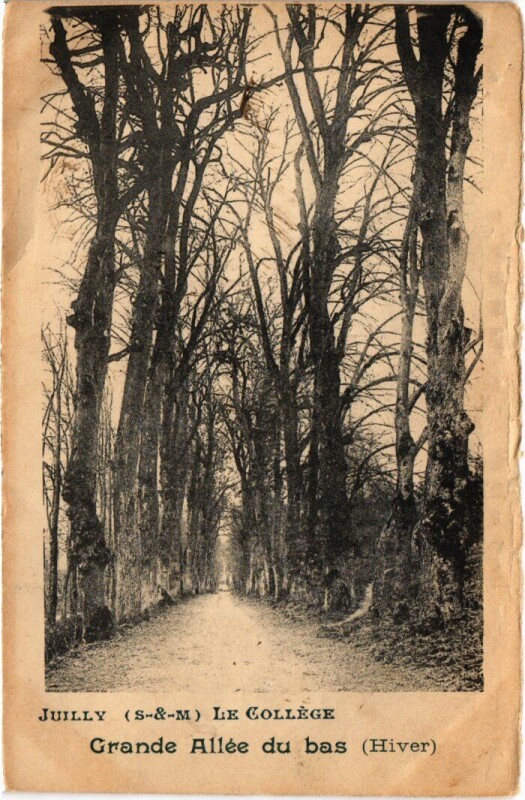 Carte postale ancienne Juilly Le College - Grande Allee du Bas - Hiver à Juilly