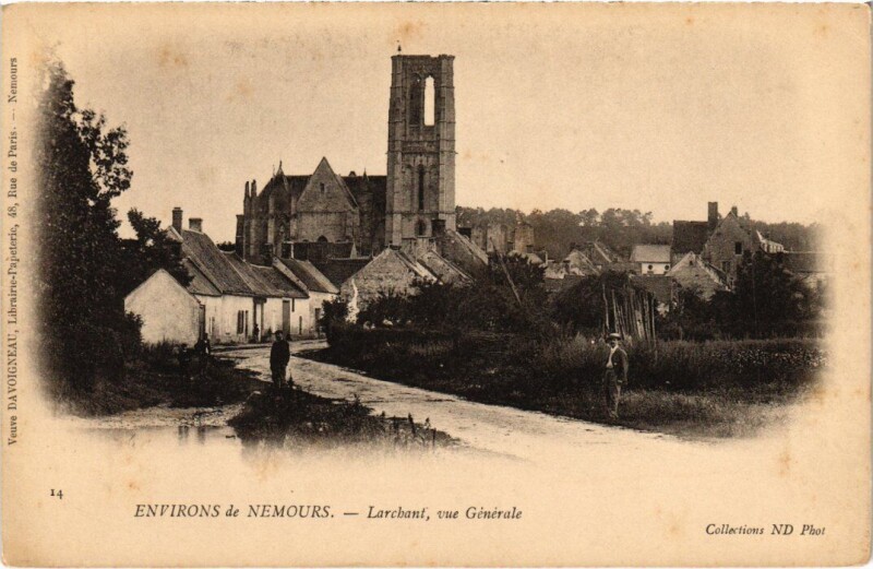 Carte postale ancienne Larchant Vue Generale à Larchant