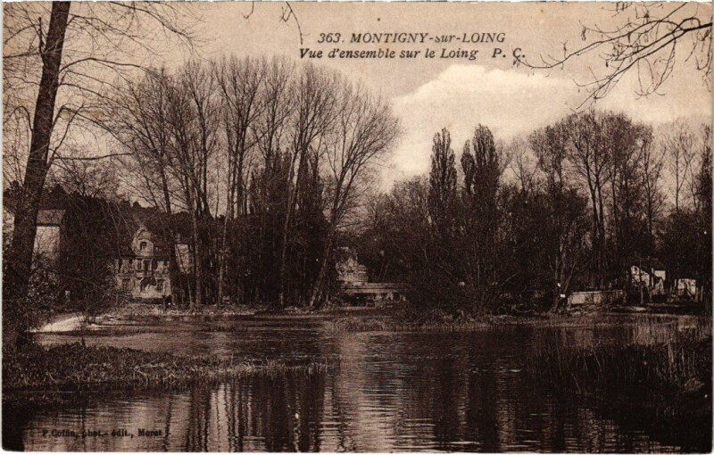 Carte postale ancienne Montigny-sur-Loing Vue d'Ensemble sur le Loing à Montigny-sur-Loing