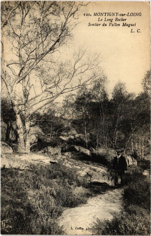 Carte postale ancienne Montigny-sur-Loing Le Long Rocher - Sentier du Vallon Muguet à Montigny-sur-Loing