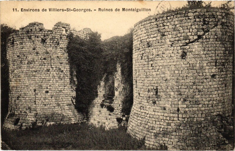Carte postale ancienne Louan-Villegruis-Fontaine Ruines de Montaiguillon à Louan-Villegruis-Fontaine